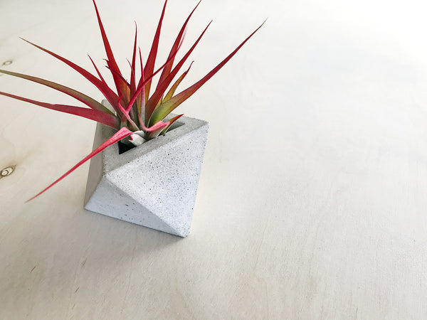 Mini Triangular Planter for Air Plants
