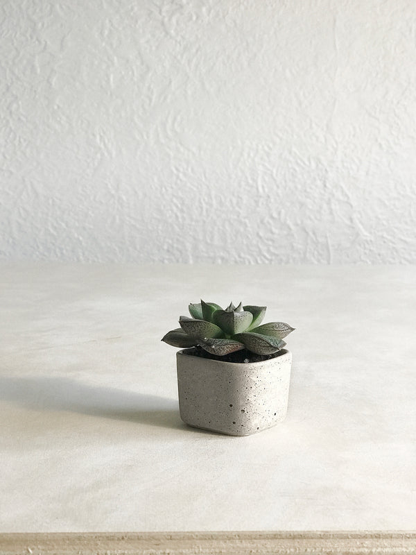 Mini Square Plant Pot