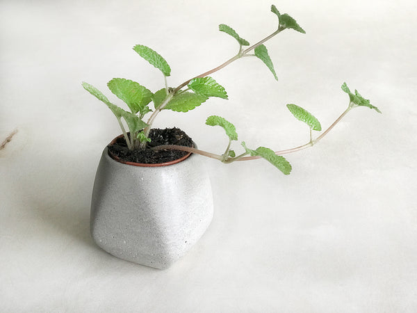 Pear-Shaped Planter (Grey)