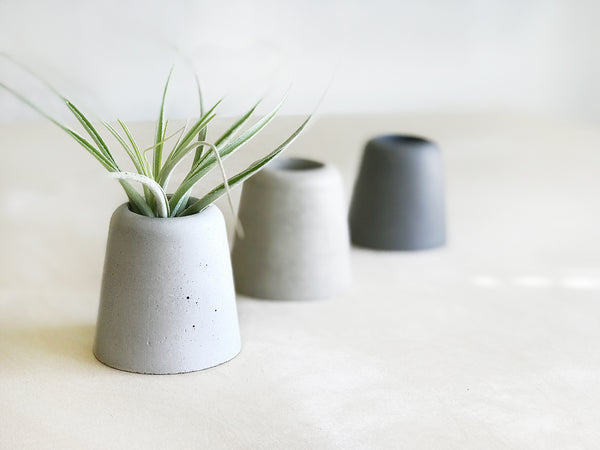 Mini Tapered Planter for Air Plants
